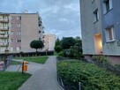 Do wynajęcia komfortowe mieszkanie dwupokojowe 36 m² - 1