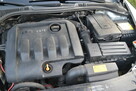 klimatronic , 1,9tdi 105KM. - 13