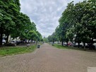 Mieszkanie Sosnowiec, Dęblińska - 5