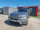 BMW X5 panorma,brązowe skóry,HUD, 450KM - 1