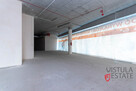 Lokal witrynowy 740 m2 z możliwością podziału - 2