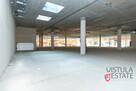 Lokal witrynowy 740 m2 z możliwością podziału - 3