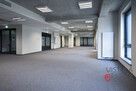 Lokal w nowoczesnym biurowcu 443,38 m2 - 1