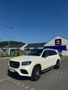 Mercedes GLS Klasa Maksymalne wyposażenie, hak, polski salon, 1 właściciel, zadbany - 14