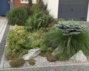 Wykonujemy nawierzchnie mineralne i EPDM. - 3