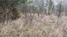 Urokliwa działka rolna - KARAKULE - 2