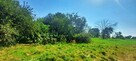 Siedlisko z potencjałem – 0,65 ha działki z zabudowaniami - 12