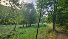 Działka rolno-rekreacyjna z prądem, przy strumyku - 7