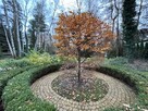MAGDALENKA 1900m2 piękna działka bud. z mediami - 14