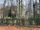 MAGDALENKA 1900m2 piękna działka bud. z mediami - 15