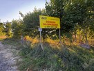 Działka Dołuje gm. Dobra (Szczecińska) - 2