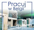 Monter drewnianych domków modułowych, Stolarz - BELGIA - 1