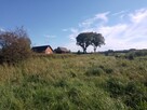 Działka rolna - 6