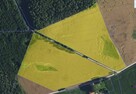 Działki rolne Klejdyty / 7,5 ha / IV klasa - 7