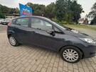 Ford Fiesta - 5