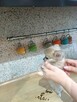 Przepiękna Beżowa Maleńka Chihuahua - 10