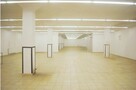 Na wynajem: kompleks magazynowo-produkcyjny – 967,2 m² – San - 4