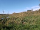 Działka rolna - 11