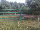 Sprzedam działkę rekreacyjną - 7