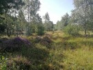 Sprzedam działkę rekreacyjną - 3