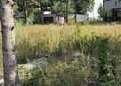 Sprzedam działkę budowlaną Legionowo ul. Grottgera - 2