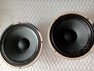 Głośniki estradowe CELESTION - 2
