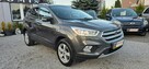 Ford Kuga LIFT ! Sam parkuje ,Super Wyposażenie,1 WŁ GwArAnCjA >>> AUTOMI - X PL - 12