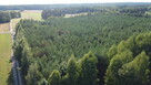 Dom na dużej działce w Świesielicach gm. Ciepielów - 10