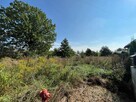 Piękna działka 1502 m2 -Żelków ul Słoneczna - 5