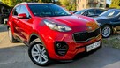 Kia Sportage 1.6i*131PS*OPŁACONY*Bezwypadkowy*Klimatronik Navi*Serwis*GWARANCJA 24 - 5