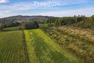 Działka 81 ar z WZ w Grabówce k. Brzozowa - 5