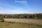 Działka 44 ary przy lesie w Grabówce - 10