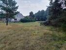 Działka Świbinki - rolna z warunkami zabudowy - 13