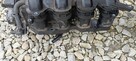 Kolektor ssący z przepustnicą Kia pro ceed 1.4 109km 136tyś - 5