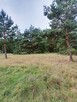 Działka Świbinki - rolna z warunkami zabudowy - 9