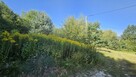 Siedlisko- Olszowa - 4