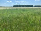 DZIAŁKA z warunkami zabudowy - 3