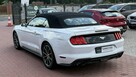Ford Mustang Cabrio, Wypas, Automat - 6