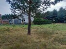 Działka Świbinki - rolna z warunkami zabudowy - 6