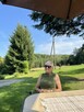 Matrymonialne - 3