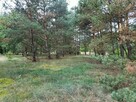 Działka Świbinki - rolna z warunkami zabudowy - 14