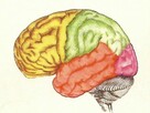 psychodietetyk - 2