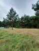 Działka Świbinki - rolna z warunkami zabudowy - 10