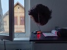 Sprzedam perukę - 3