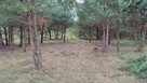 Do wynajęcia piękna, częściowo zalesiona działka rekreacyjna - 4