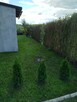 Sprzedam działkę ogrodową - 13