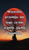 Pani szuka pana - 2