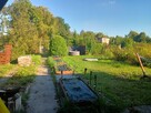 Sprzedam ogródek - 7