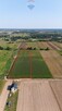 Działka siedliskowo-rolna 1ha – Rębków k/Garwolina - 4