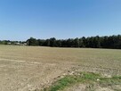 Działka rekreacyjna Ćwiklice gm. Pszczyna - 9